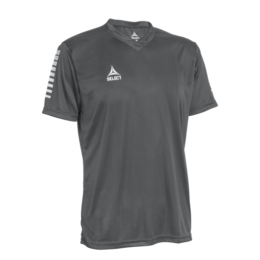 Футболка SELECT Pisa player shirt s/s Grey